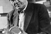 Alexander Fleming entdeckt das Antibiotikum Penicillin – 1928